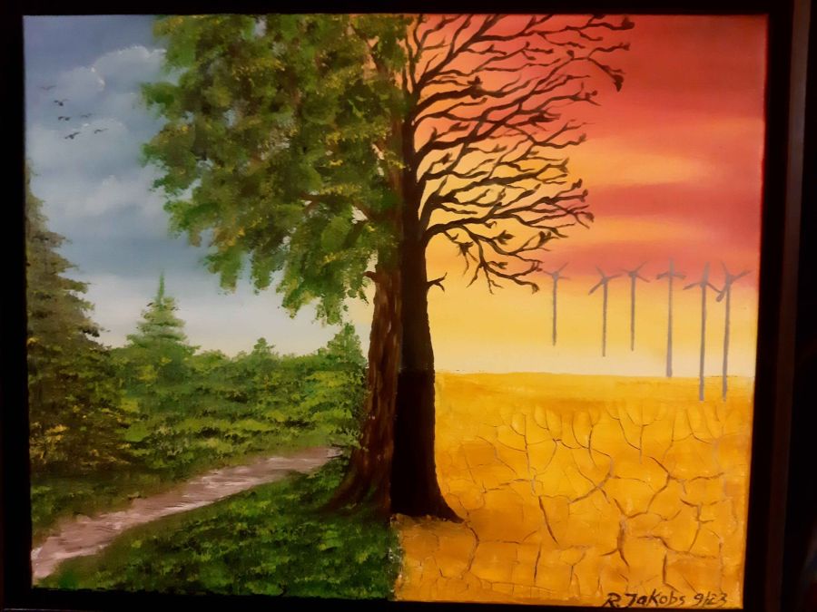 Windräder zerstören Wälder