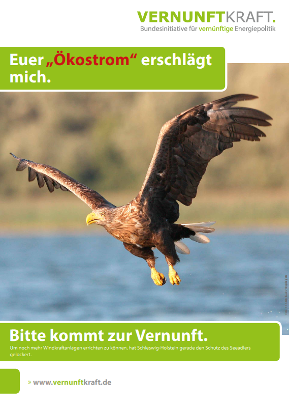 Plakat von VernunftKraft mit einem über das Wasser fliegenden Seeadler 